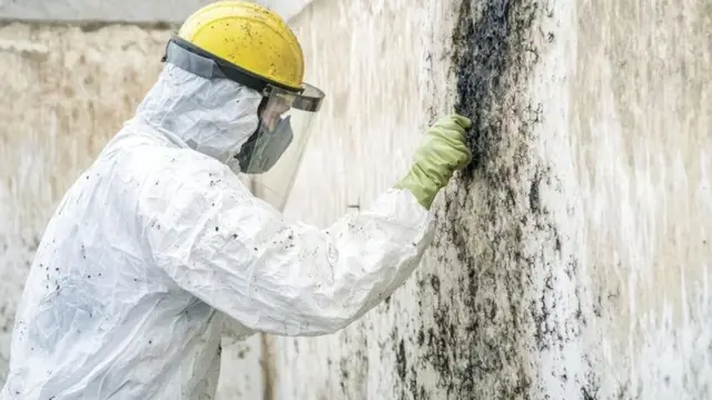 Worker in protective gear and hard hat scrubbing mold from a wall