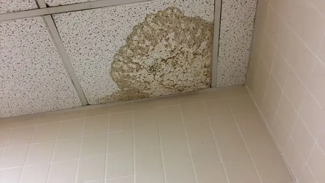 Small water stain on a suspended ceiling tile